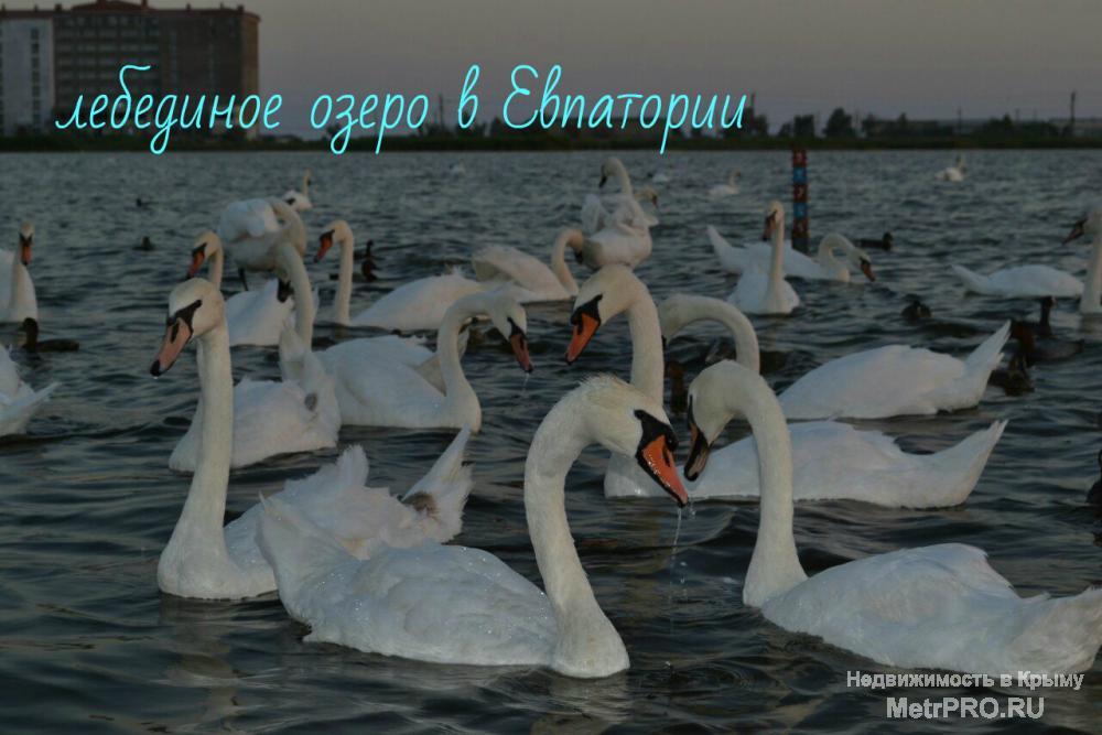Приглашаем летом в Крым, отдохнуть, вместе с нами.   Гостевой дом «Афродита»,  находится в поселке Заозерное, (от... - 13