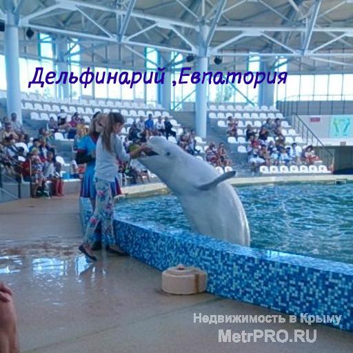 Приглашаем летом в Крым, отдохнуть, вместе с нами.   Гостевой дом «Афродита»,  находится в поселке Заозерное, (от... - 14