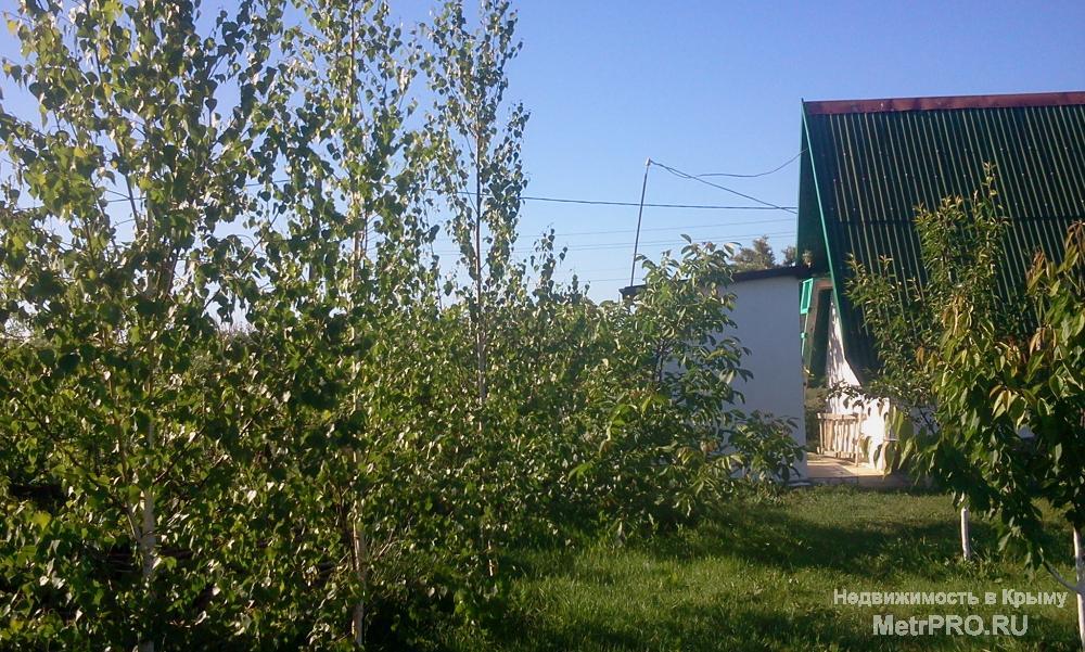 Дача под ключ.Молодой сад.ухоженный участок.Свет.вода.бойлер для горячей воды.До моря 7-8 мин рядом большое озеро для... - 3