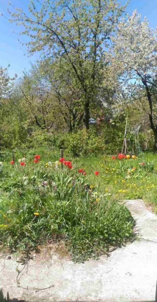 Крым, Симферопольский район, с. Кизиловое, ул. Центральная.  3–этажный дом 2005 года постройки, 3 комнаты,  127... - 2