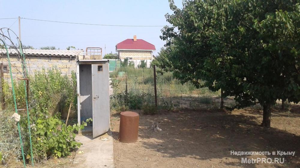 Продаю дачу в потребительском кооперативе Ветеран. 3 км до моря, 4 км до пгт. Мирный, 20 км до г. Евпатория. Участок... - 11