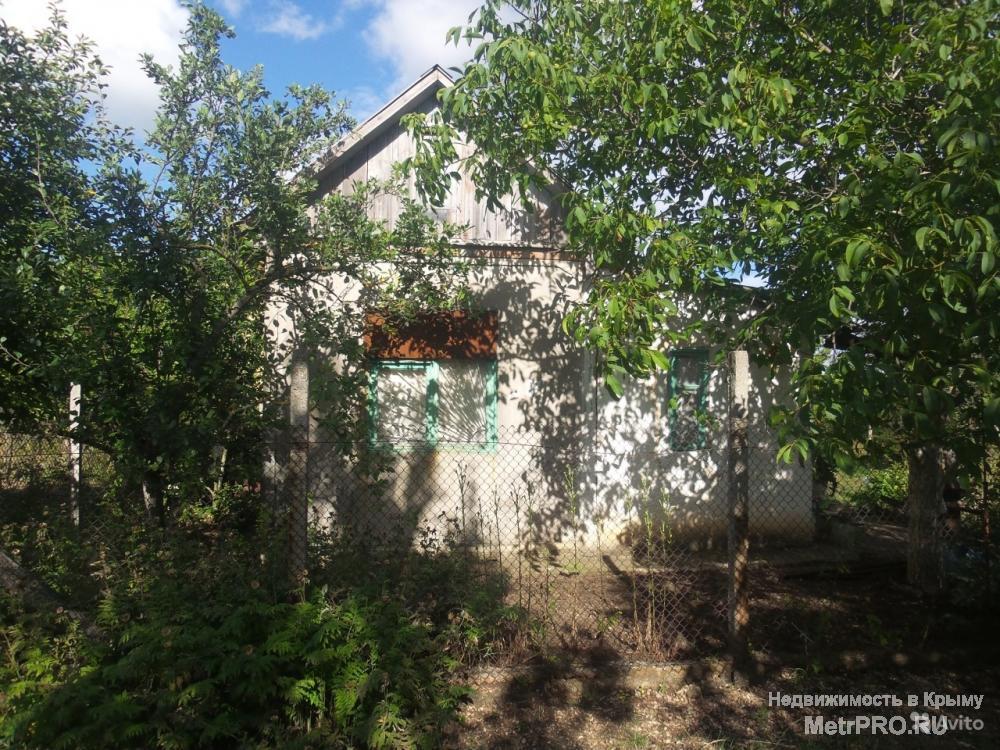 В продаже дачный участок! Бабушка всю жизнь ухаживает за ним, сажает картошку, выращивает овощи и фрукты. Ухоженная... - 2