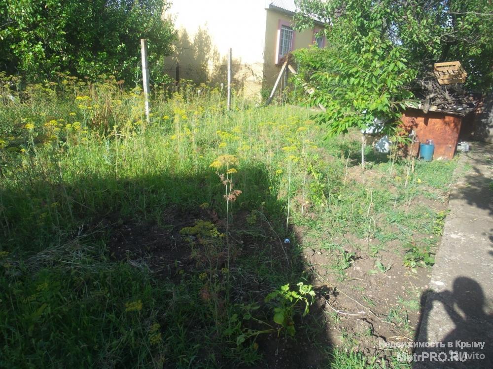 В продаже дачный участок! Бабушка всю жизнь ухаживает за ним, сажает картошку, выращивает овощи и фрукты. Ухоженная... - 7