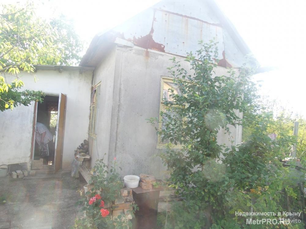 В продаже дачный участок! Бабушка всю жизнь ухаживает за ним, сажает картошку, выращивает овощи и фрукты. Ухоженная... - 8