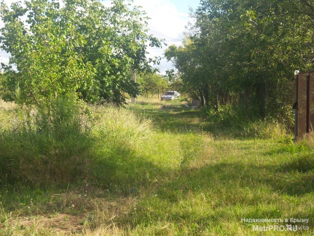 В продаже дачный участок! Бабушка всю жизнь ухаживает за ним, сажает картошку, выращивает овощи и фрукты. Ухоженная... - 12