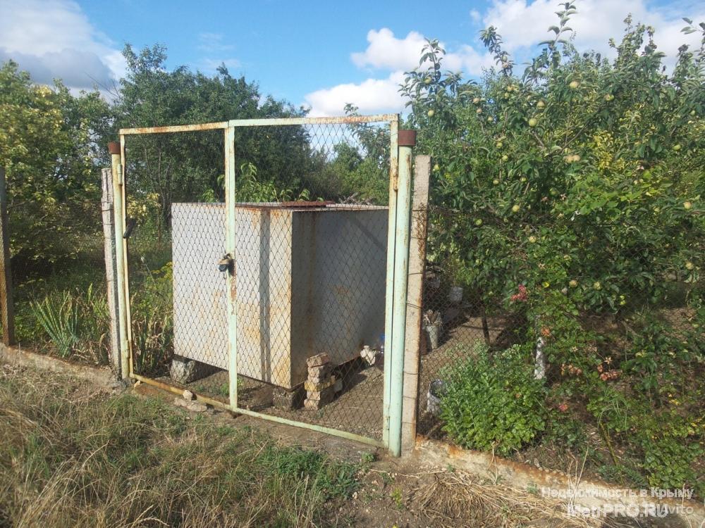 В продаже дачный участок! Бабушка всю жизнь ухаживает за ним, сажает картошку, выращивает овощи и фрукты. Ухоженная... - 13