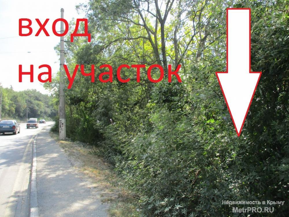 Продам земельный участок площадью 8 соток по  Южнобережному шоссе (ниже трассы Массандра-Ялта). С участка открывается... - 3