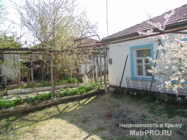 Продается дом . ( р-н ул. Багрия, Корабельная сторона). Дом в хорошем состоянии, общая площадь 80 кв м, с подвалом 14... - 2