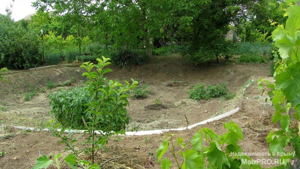 Продам 6 соток в дачном кооп «Буревестник» в черте г. Евпатория. В шаговой доступности трасса, автобусная остановка,... - 1