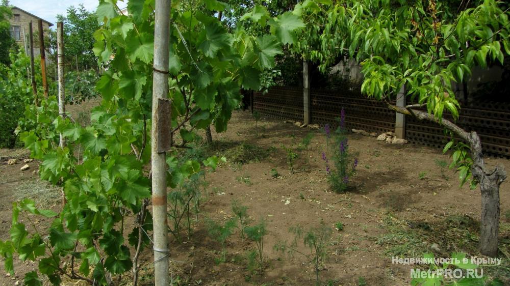 Продам 6 соток в дачном кооп «Буревестник» в черте г. Евпатория. В шаговой доступности трасса, автобусная остановка,... - 2