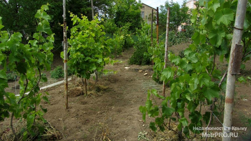 Продам 6 соток в дачном кооп «Буревестник» в черте г. Евпатория. В шаговой доступности трасса, автобусная остановка,... - 3