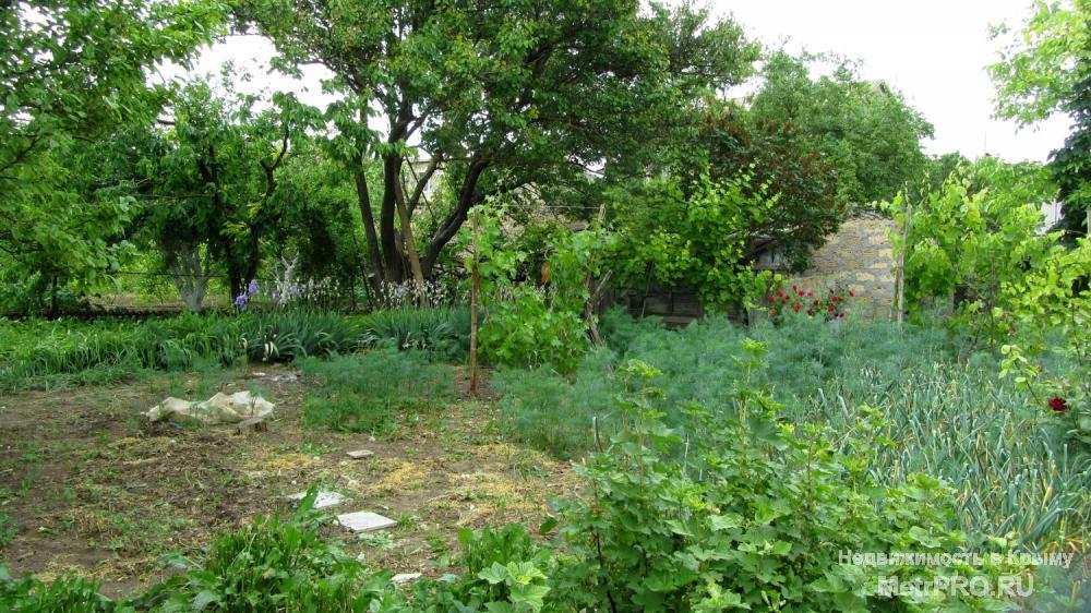 Продам 6 соток в дачном кооп «Буревестник» в черте г. Евпатория. В шаговой доступности трасса, автобусная остановка,... - 4