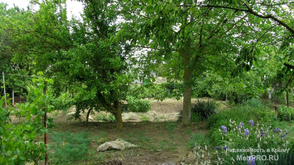 Продам 6 соток в дачном кооп «Буревестник» в черте г. Евпатория. В шаговой доступности трасса, автобусная остановка,... - 6