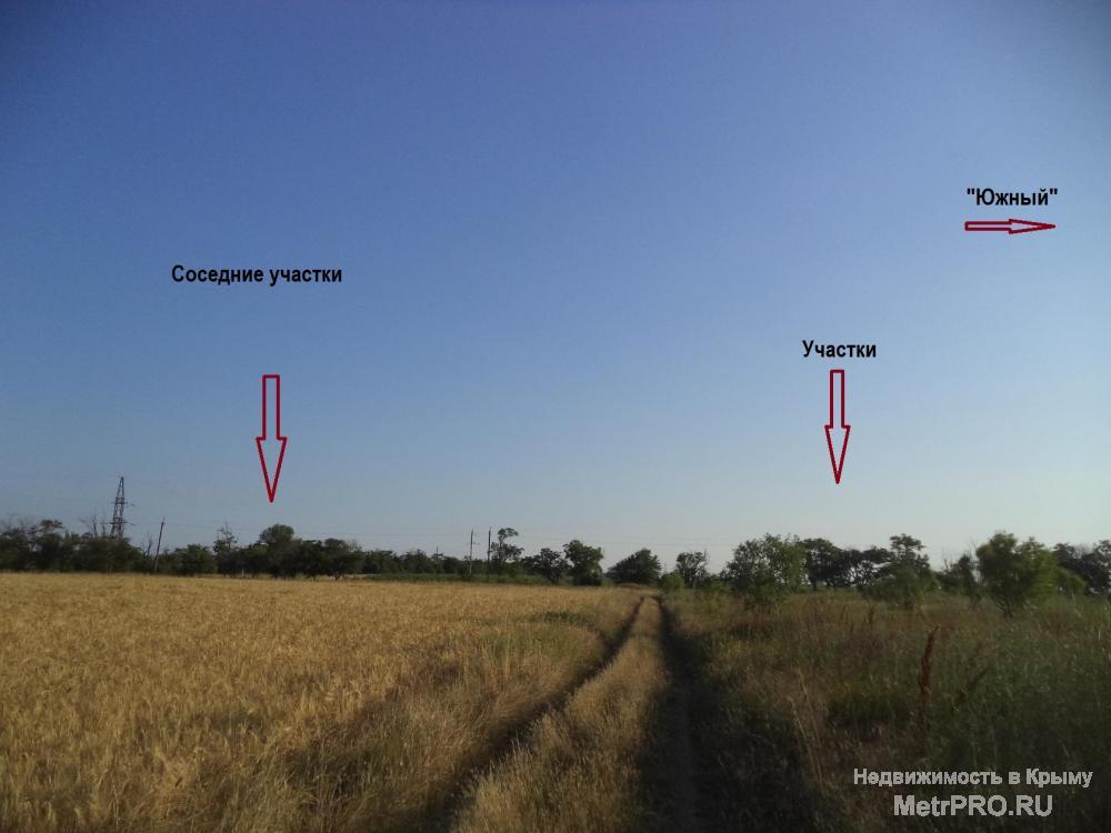 Продам свой земельный участок в Крыму 15 мин. пешком до моря, площадью 5,76 Га, 3 земельных пая по 1,92 га,... - 6