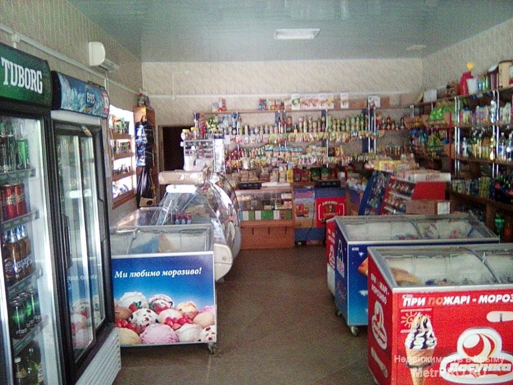 Код объекта 9396.    Продаётся кафе-магазин в селе Охотниково!    Продаётся одноэтажный кафе-магазин 248 кв. м,... - 7