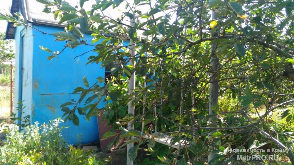 Код объекта 9595.    Продаётся дачный участок в городе Саки!    Продаётся земельный участок 8 соток в дачном... - 2