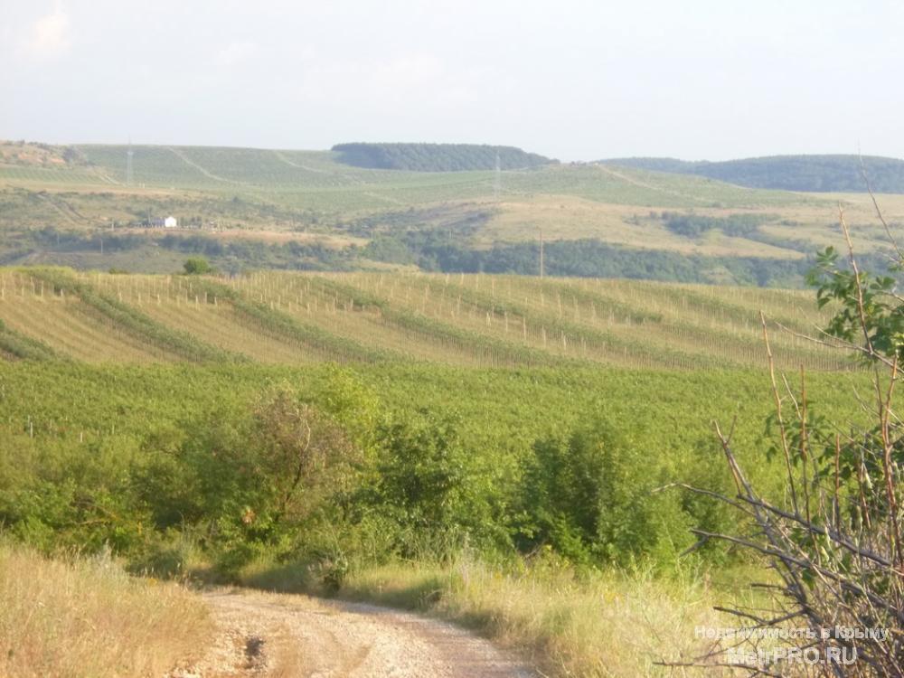 Продам земли сельскохозяйственного назначения в Бахчисарайском районе. Площадь участков от 1,5 гектара до 2400...