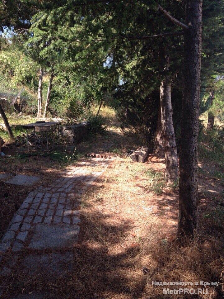 Дом в Ялте на пер. Верхнедарсановский, общ.пл 280 кв.м + 6 соток земельный участок (св-во о праве собственности).... - 16