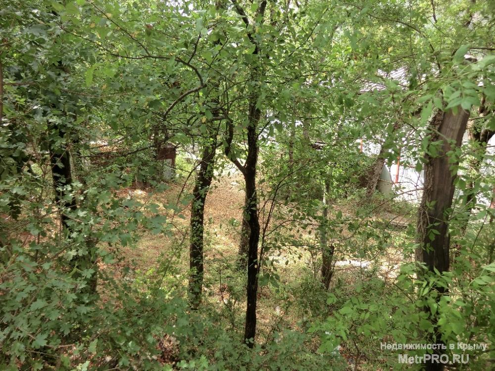 Продам земельный участок площадью 9 соток в Ялте на ул.Красина. Целевое назначение — ИЖС. Ровный. Подъезд (грунт),... - 10