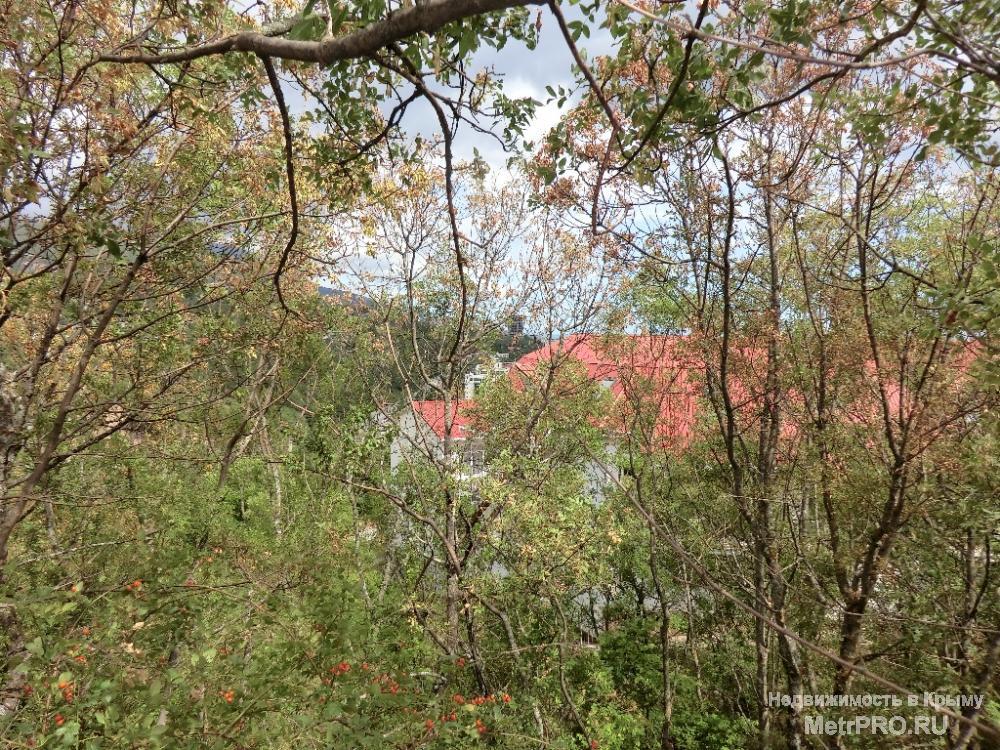 Продам земельный участок площадью 10 соток в Ялте на ул.Красина. Целевое назначение — ИЖС. С уклоном. 2 подъезда... - 3