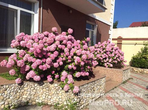 Новый дом на берегу моря  в Казачьей бухте  2 этажа + мансардный этаж,   общая площадь - 432 кв. м,   участок –... - 4