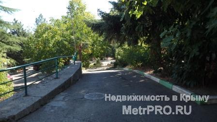 Квартира в живописном курортном местечке вблизи Ялты  *Заинтересованному покупателю сделаем хорошую скидку!... - 18