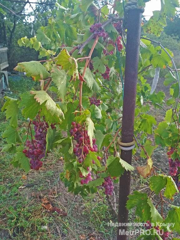 Предлагаем Вам приобрести прекрасный вариант надежного дома, подходящего как для летнего отдыха, так и для... - 12