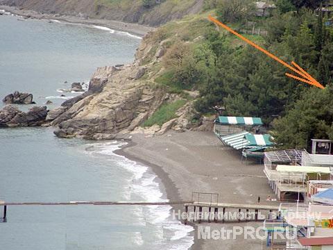 Продам уникальный дом в Крыму на ЮБК, на самом берегу под огромными соснами. В поселке Малореченское. Дом небольшой... - 9