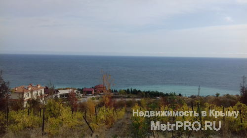 Продается участок в Гурзуфе, с потрясающим видом на всю бухту и Аю-даг. Благодаря расположению, вид вам никто и... - 2