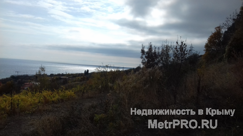 Продается участок в Гурзуфе, с потрясающим видом на всю бухту и Аю-даг. Благодаря расположению, вид вам никто и... - 3