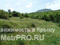 Продам участки 95 соток видовые (Исж) и домик.Бахчисарайский район село Нагорное..Домик удов. состояния .вода , свет... - 6