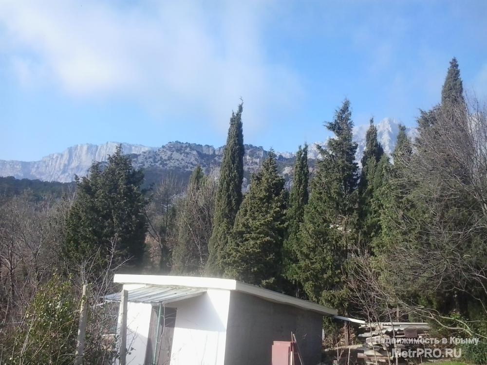 Продается дом в живописном месте города Алупка. Дом площадью 96 м2, располагающегося на участке в 1000 м2, к участку... - 15