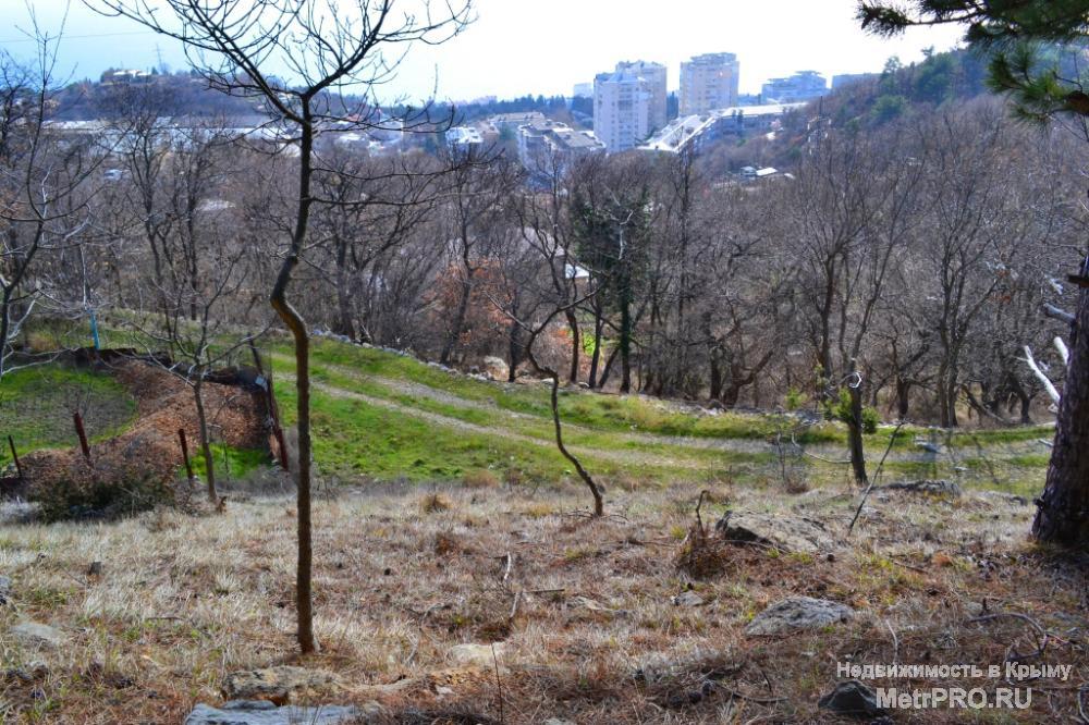 Продажа участка 10 соток в Ялте пгт.Гаспра. ИЖС, участок находиться в новом развивающемся коттеджном поселке в... - 9