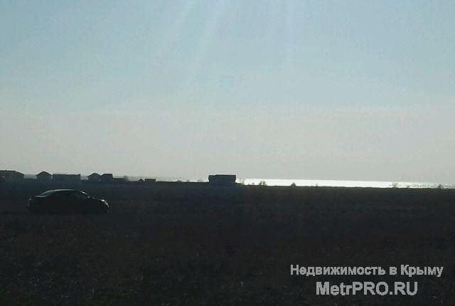 Код объекта 11578    Продаётся земельный пай в селе Витино!    Продаётся земельный участок 1 гектар... - 1