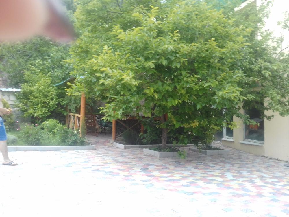 Сдаю в центре Мисхора (ЮБК,Ялта) свой дом по номерам и коттедж на 2а номера.   В доме 3и автономных номера (один 2х... - 23