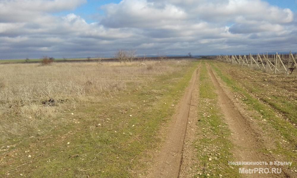 Продам земельный участок 10га с/х назначения,отличный вариант для закладки сада или виноградника,благоприятный климат...