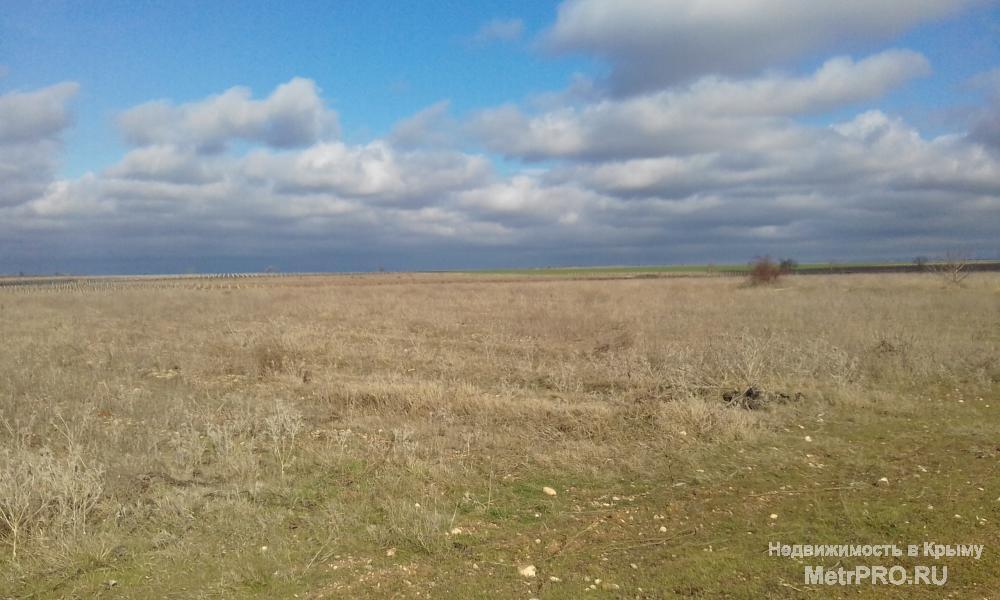 Продам земельный участок 10га с/х назначения,отличный вариант для закладки сада или виноградника,благоприятный климат... - 3