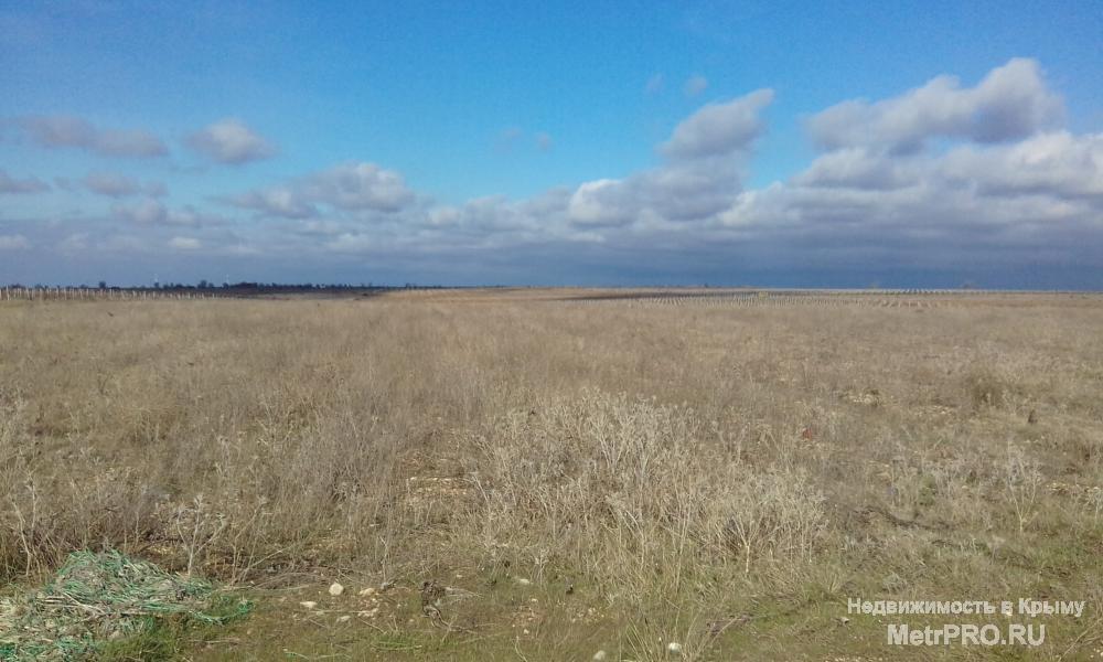 Продам земельный участок 10га с/х назначения,отличный вариант для закладки сада или виноградника,благоприятный климат... - 4