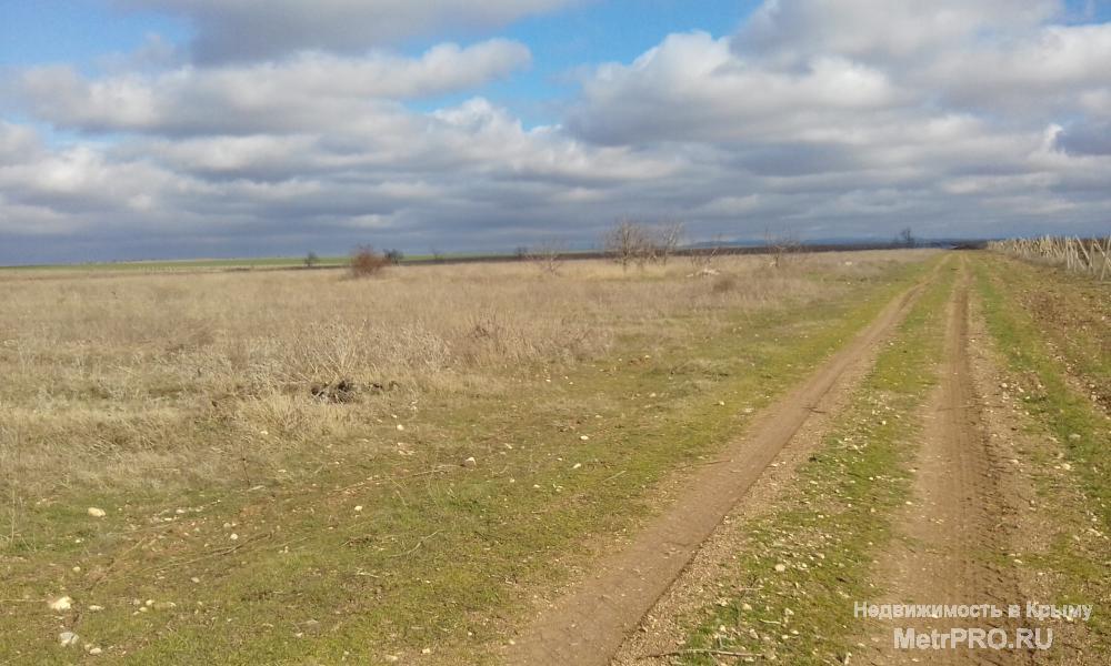 Продам земельный участок 10га с/х назначения,отличный вариант для закладки сада или виноградника,благоприятный климат... - 6