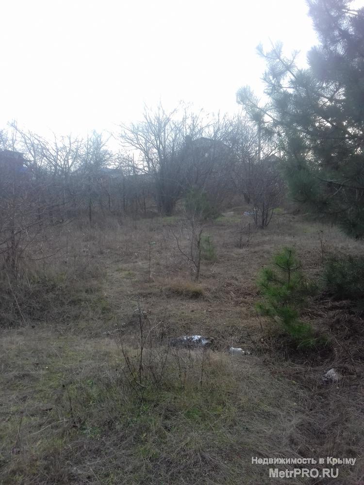 Продам участок в городе Севастополе по Камышовскому шоссе в СНТ Скиф,  4 сотки , ровный, неухоженный, правильной... - 1