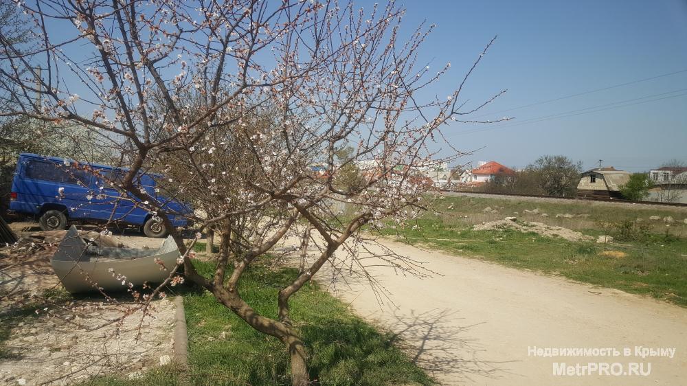 Продам два дома на участке 6 соток.  Участок огорожен, на территории два дома 200 квм( коробка с кровлей и... - 4