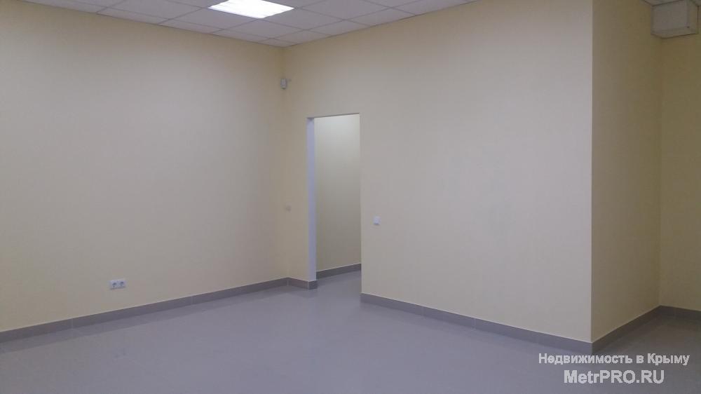 Сдается помещение свободного назначения в отличном состоянии на пр. Ген. Острякова 244 в цоколе. Отдельный вход.... - 11