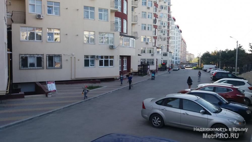 Сдается помещение свободного назначения в отличном состоянии на пр. Ген. Острякова 244 в цоколе. Отдельный вход.... - 13