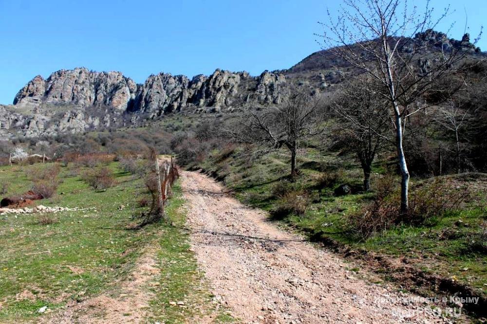 Город Алушта, Село Лучистое, ул Видовая 6  Кадастровый номер : 90:04:030101:160  Размер участка 5982 метра кв... - 4