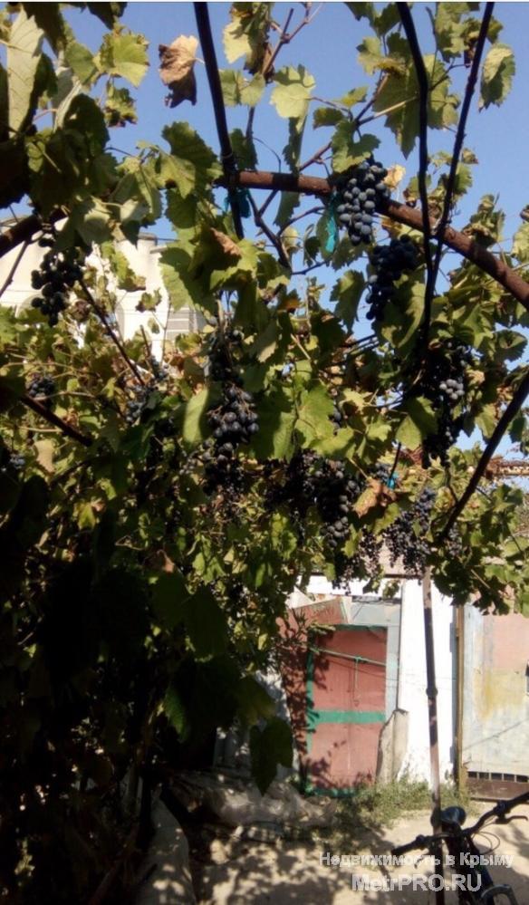 Продаётся дача у моря с жилым домиком в микрорайоне бухта Казачья. Рядом пляжи Голубая и Казачья Бухты.  Дом жилой,... - 3