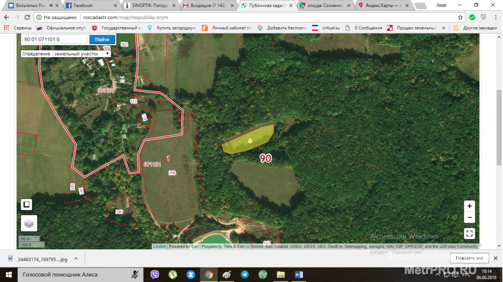 Пруд и молодой фундуковый сад на участке 40 сот. за селом Поляна в Бельбекской долине ждут нового владельца.... - 3
