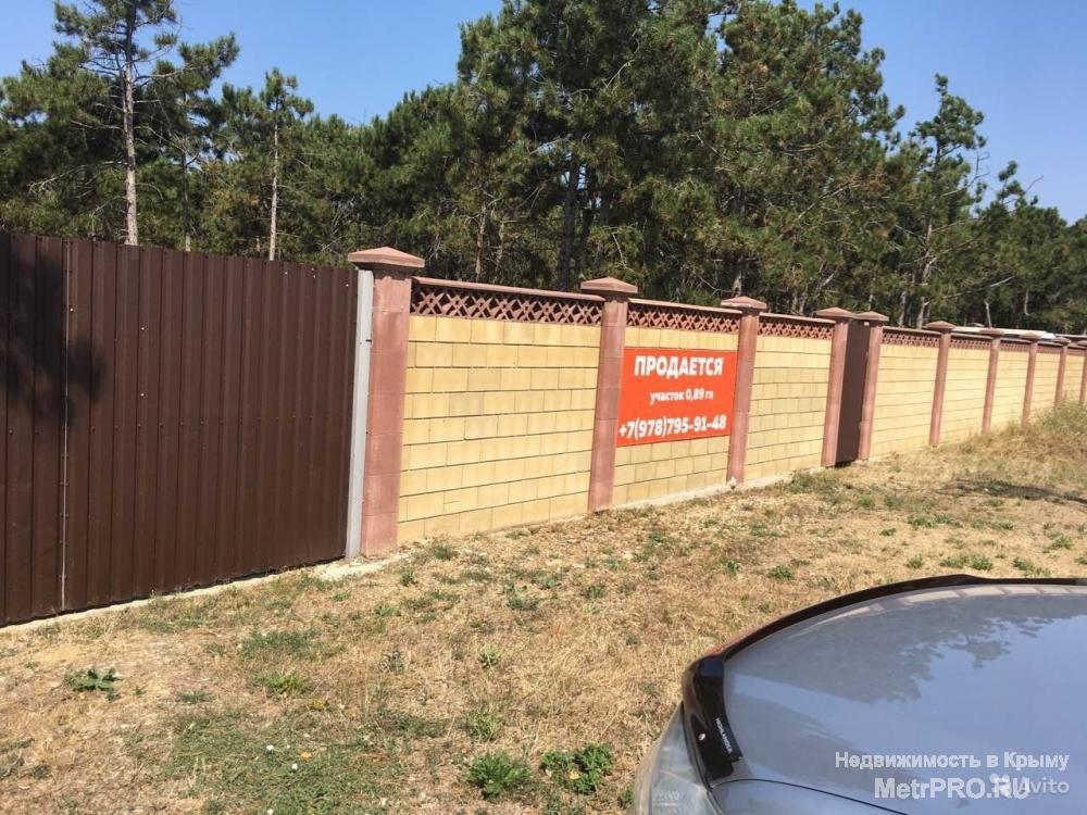 Продается участок земли 89.1 сот. в сосновом бору в 10м от моря! Находится в поселке Песчаное, Бахчисарайского... - 2