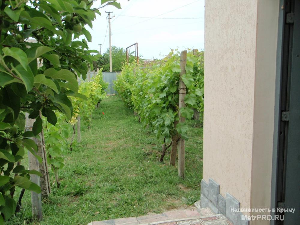 Сдаётся   ПОСУТОЧНО  от 3800р -4000р в сутки за весь объект…в Крыму в г. Черноморском Западный Крым  ХОРОШИЙ Дом два... - 26