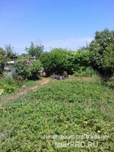 Продам земельный участок на Фиолентовском шоссе в ст Планер, район Автобата, 10 соток, участок ровный огороженный,... - 7