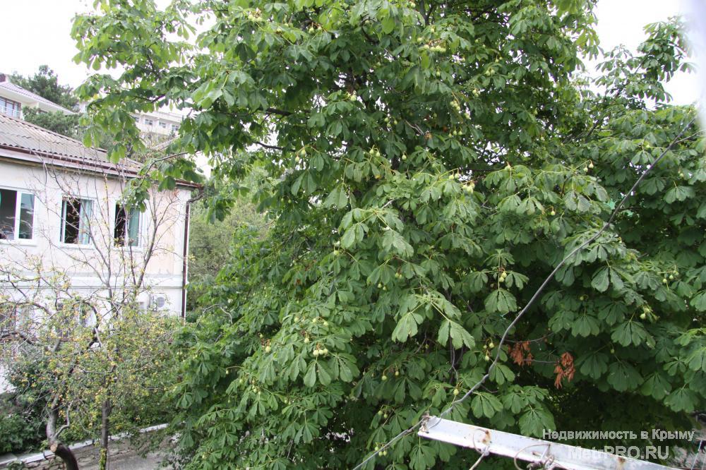 Продается трехкомнатная квартира в Гаспре. Удобное расположение дома, развитая инфраструктура района, рядом... - 10
